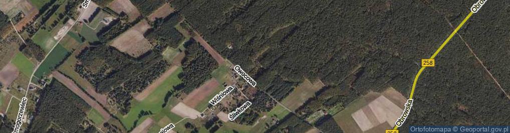 Zdjęcie satelitarne Gruszowa ul.